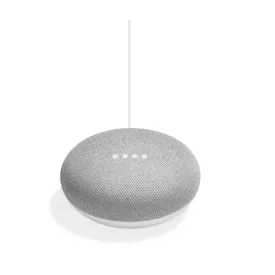 Google Home Mini Gift