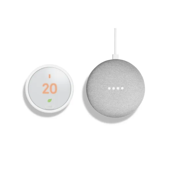 Google Home Mini Gift