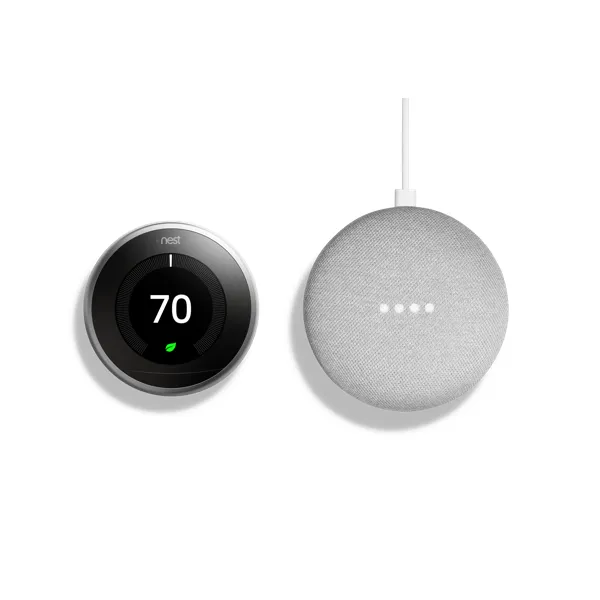 Google Home Mini Gift