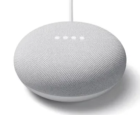 Google Nest Mini | Chalk